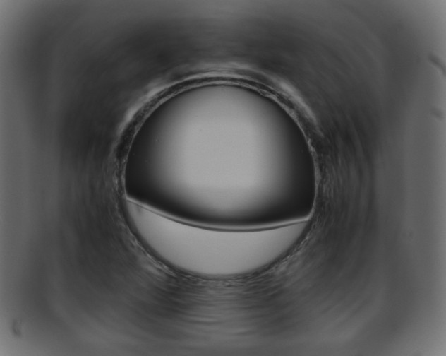 X0000095691360200801081030