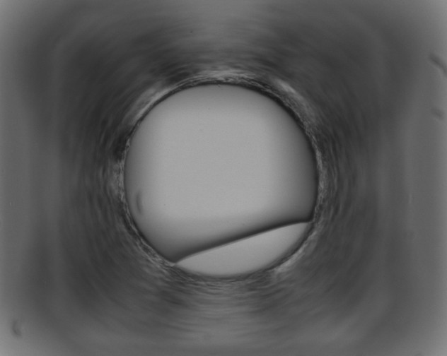 X0000095691361200801081030
