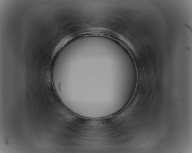 X0000095691362200801081030