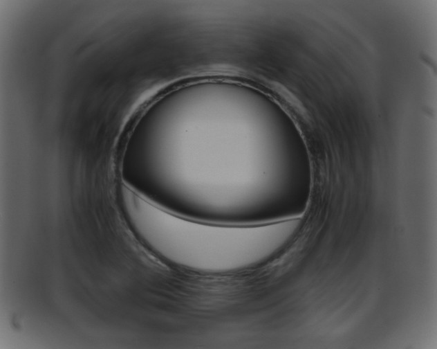 X0000095691364200801081030