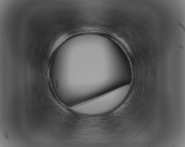 X0000095691365200801081029