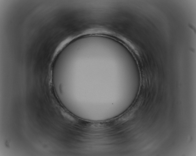 X0000095691366200801081029