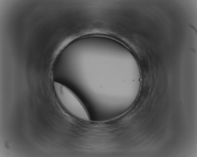 X0000095691367200801081029
