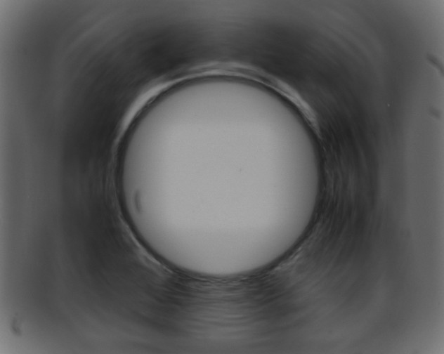 X0000095691368200801081029