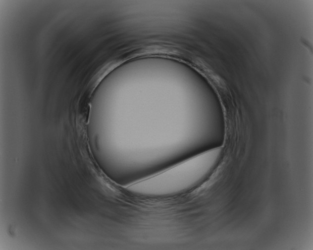 X0000095691369200801081029