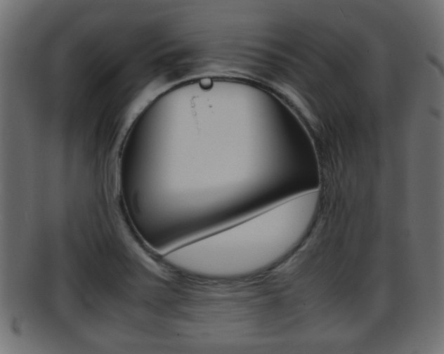 X0000095691371200801081029