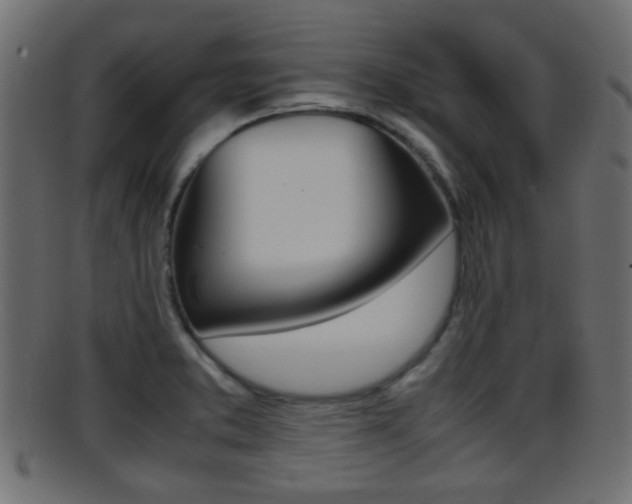 X0000095691373200801081029