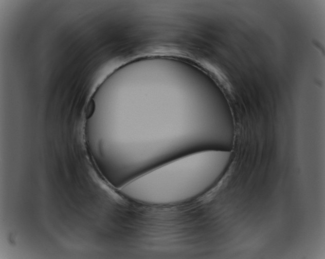 X0000095691374200801081029