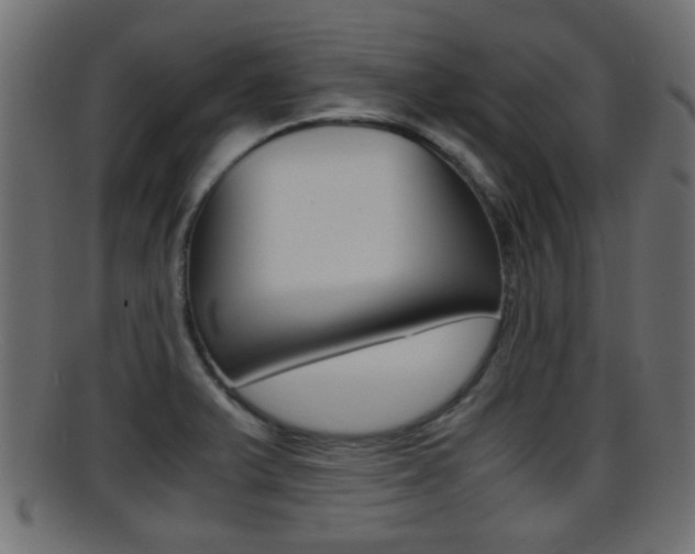 X0000095691375200801081029