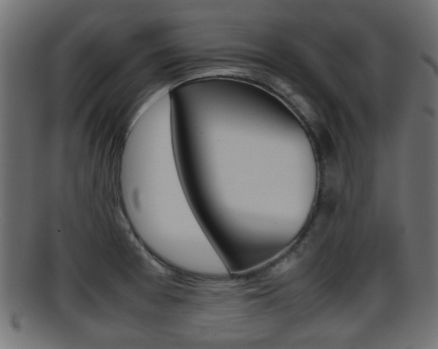 X0000095691377200801081029