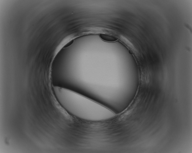 X0000095691378200801081029