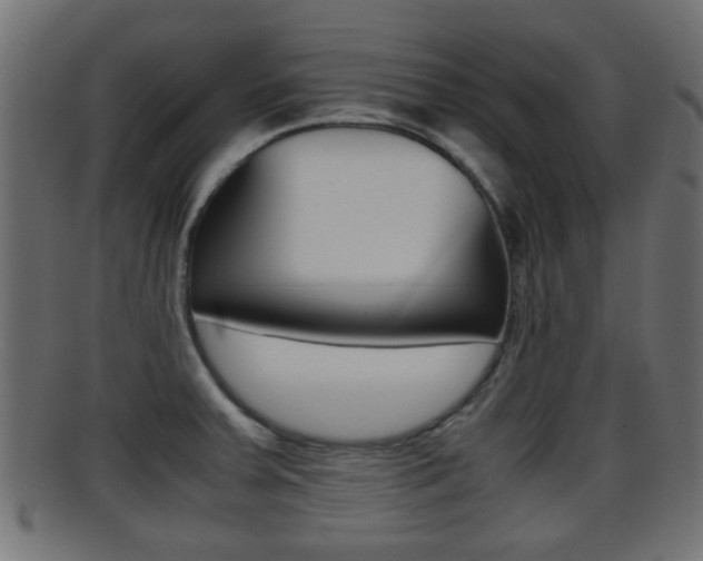 X0000095691379200801081029