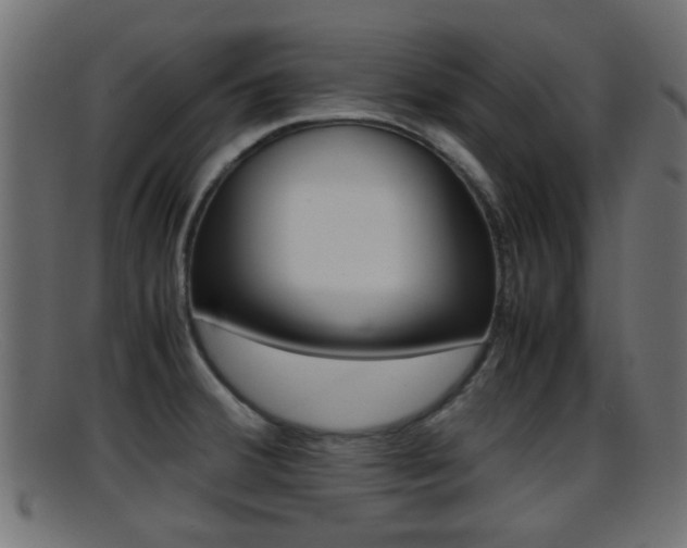 X0000095691380200801081029