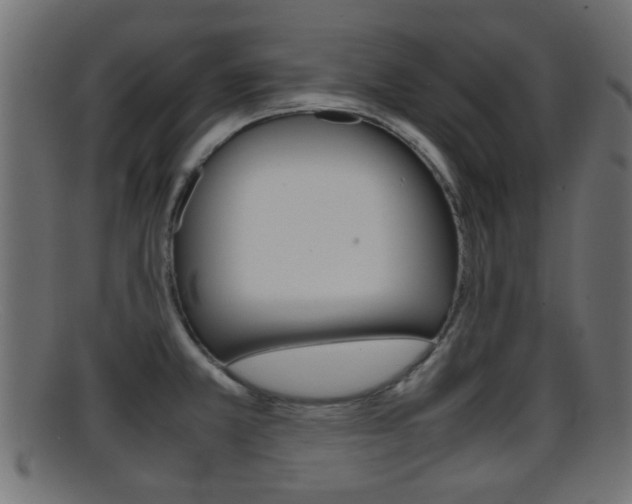 X0000095691381200801081029