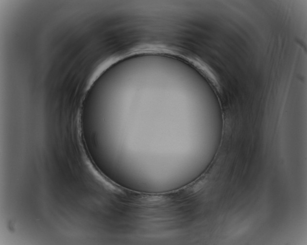 X0000095691382200801081029