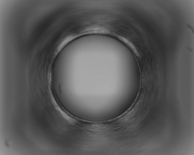 X0000095691383200801081029