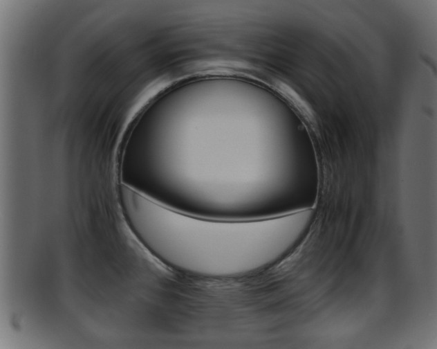 X0000095691384200801081029