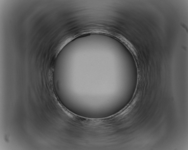 X0000095691385200801081029