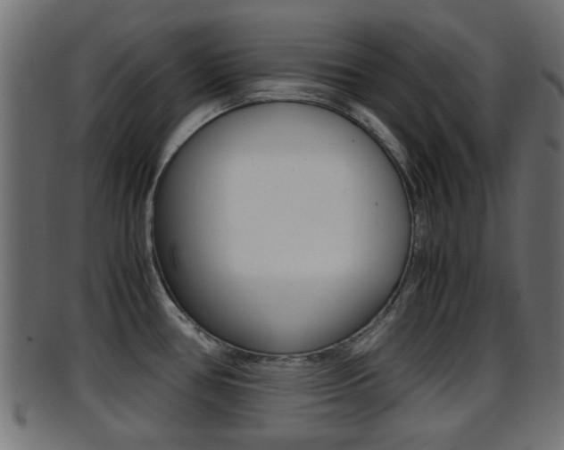 X0000095691386200801081029