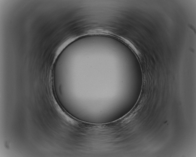 X0000095691387200801081029
