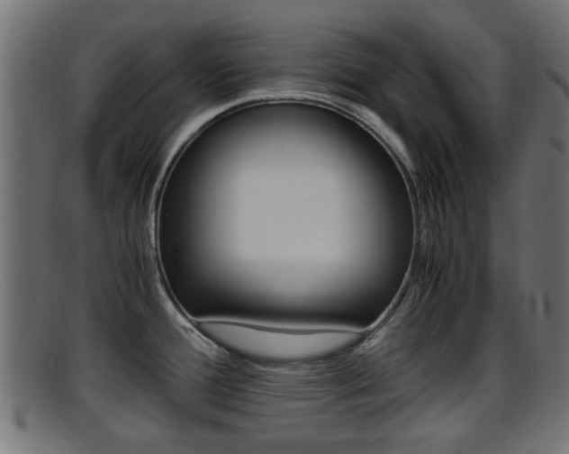 X0000095691388200801081029