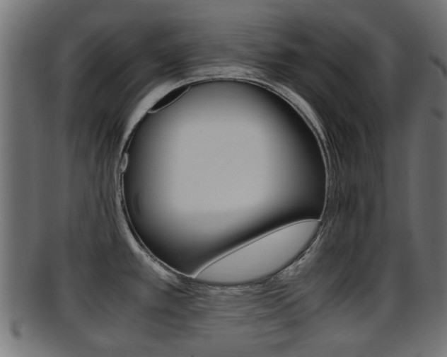 X0000095691389200801081029