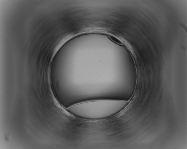 X0000095691390200801081029