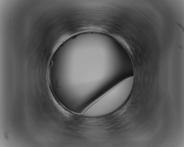 X0000095691391200801081029