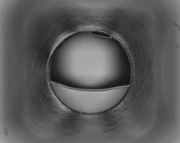 X0000095691392200801081029