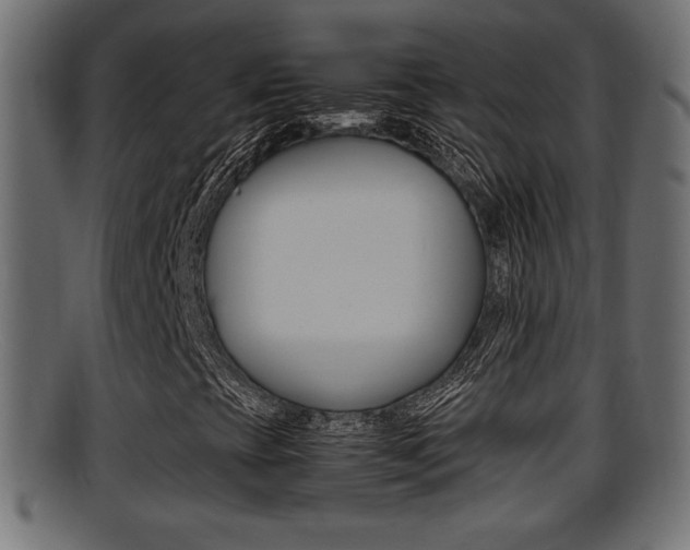 X0000095691393200801081028