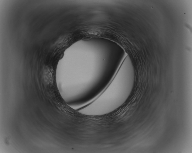 X0000095691394200801081028