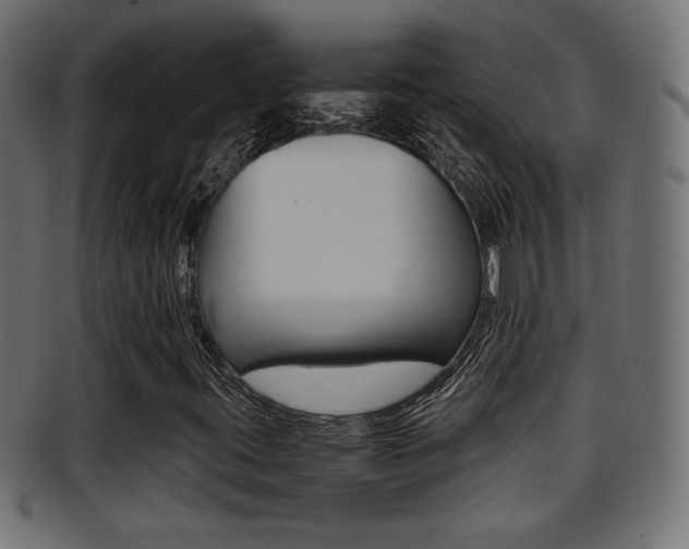 X0000095691395200801081029