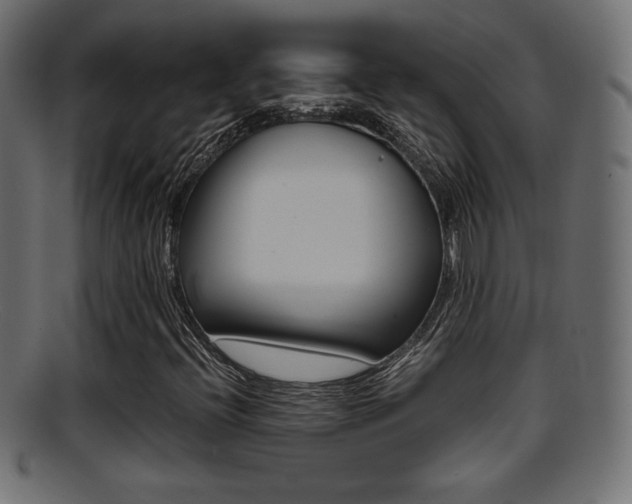 X0000095691396200801081029