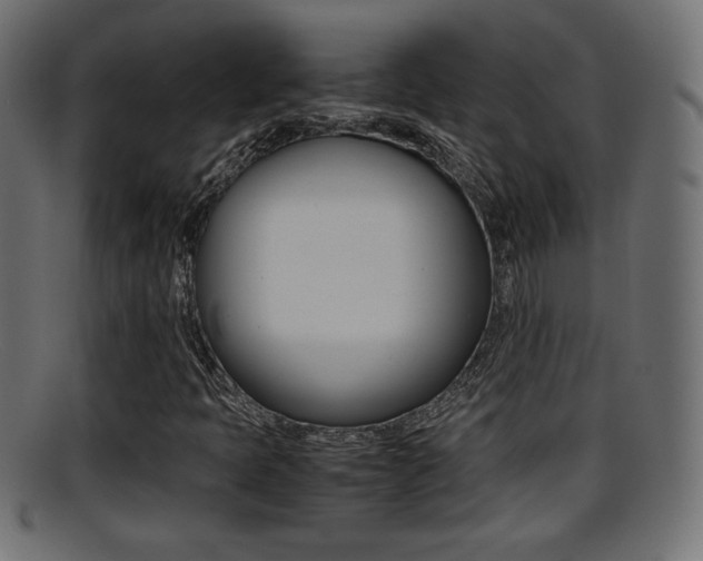 X0000095691397200801081029