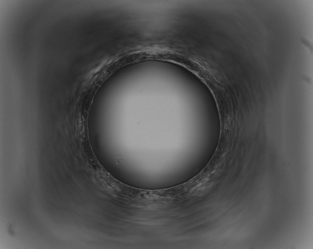 X0000095691398200801081029