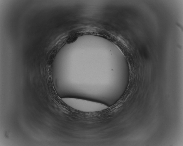 X0000095691399200801081029