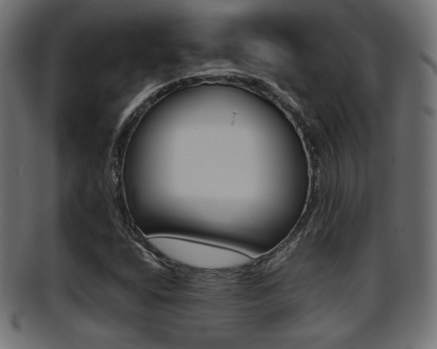 X0000095691400200801081029