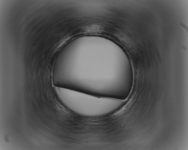 X0000095691401200801081029