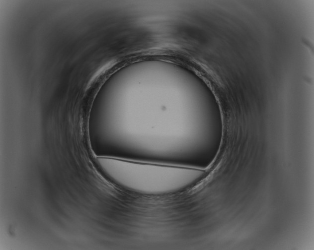X0000095691402200801081029