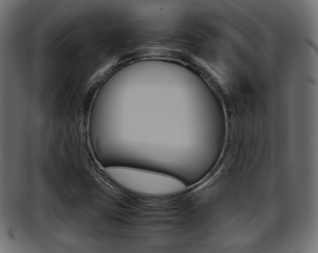 X0000095691403200801081029