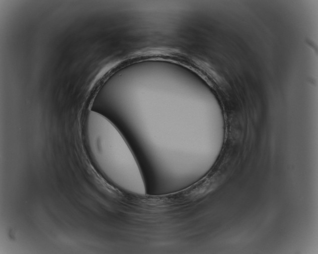 X0000095691404200801081029