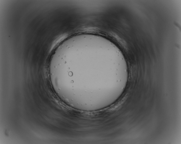 X0000095691405200801081029