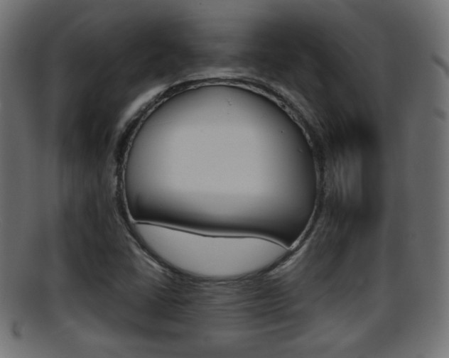X0000095691406200801081029