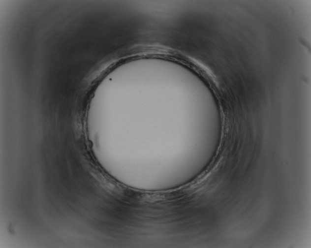 X0000095691407200801081029