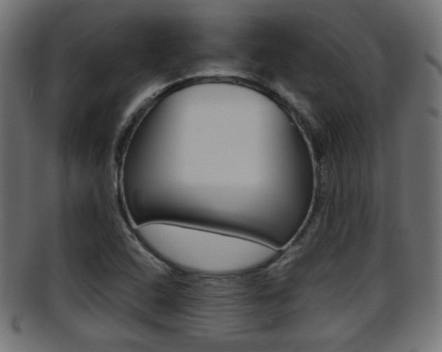 X0000095691408200801081029