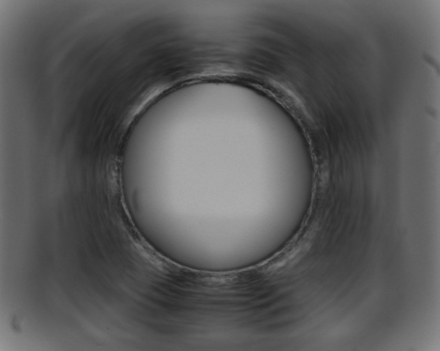 X0000095691409200801081029