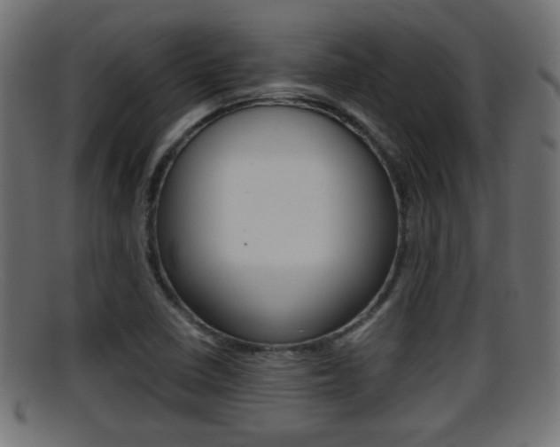 X0000095691410200801081029