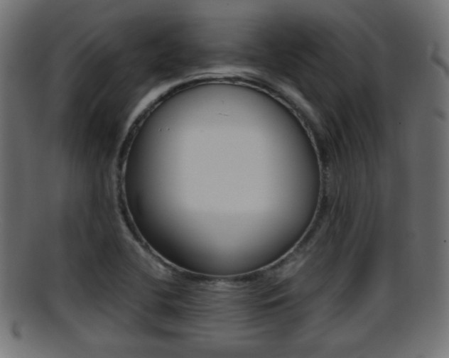 X0000095691412200801081029