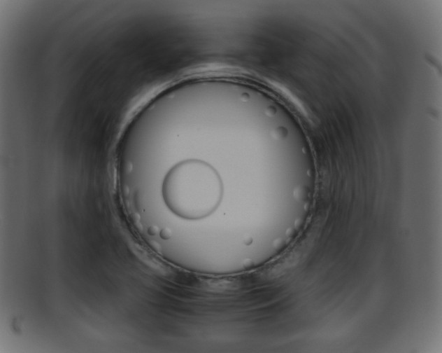 X0000095691413200801081029