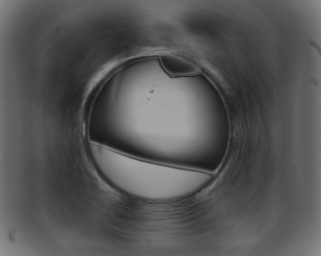 X0000095691414200801081029